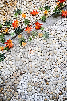 Stone wall and colorful of leaf