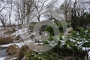 Stone wall and conifers in landscape park at winter