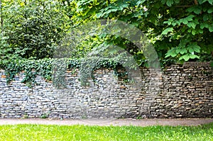 Stone wall covered with greenery. Green thickets behind the wall. The path along the wall among the abundant greenery