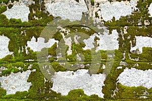 Stone wall covered with lichen