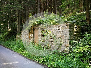 Stone wall with door, built into a slope in the forest, view from the right