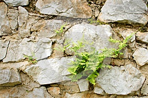 Stone wall