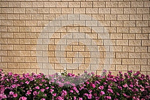 Stone wall and flowers