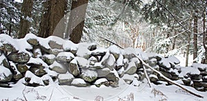 Stone Wall in Forest Covered in Snow