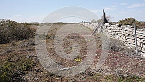Stone Wall at Great Alvar Oland Sweden, Barren Landscape, Tilt Up