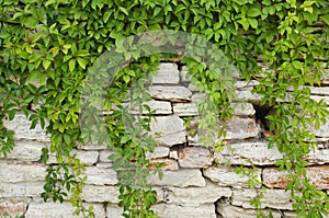 Stone Wall With Greenery