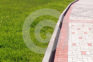 Stone wall with greenery. Texture of nature. Background for text, banner, label.