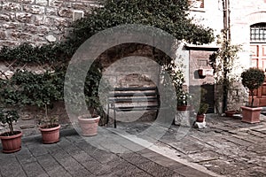 A stone wall with ivy, plants and clay pots in a medieval italian village Umbria, Italy