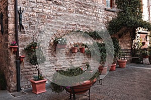 A stone wall with ivy, plants and clay pots in a medieval italian village Umbria, Italy