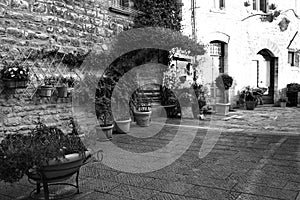 A stone wall with ivy, plants and clay pots in a medieval italian village Umbria, Italy