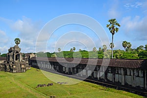 Stone wall, old building and plants