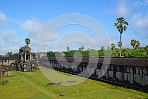 Stone wall, old building and plants