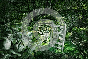 Stone wall with open gate in magical woodland.Fairytail scenery photo
