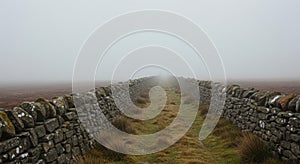 Stone Wall Path Through Foggy Moorland