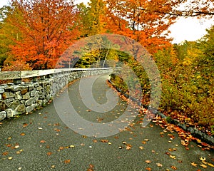 Stone wall path to colorful autumn forest