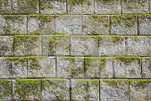 Stone wall pattern with green moss background and texture