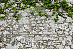 Stone wall with plants growing in the cracks and copy space below
