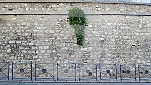 Stone wall by a road with railings and green plants