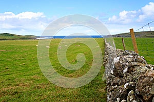 Stone wall in Scottish countryside