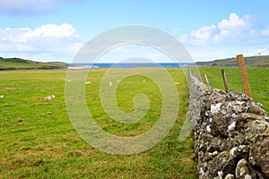 Stone wall in Scottish countryside