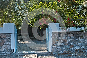 Stone wall in a shade of trees around an old greek house at Panormos beach, island of Skopelos