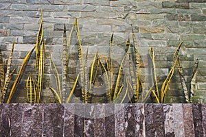 Stone Wall, Steps and Planter