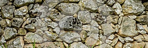 Stone wall texture with moss, close up