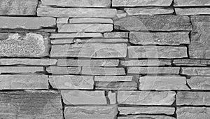 Gray brick wall background.