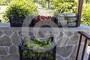 A stone wall with three black baskets of vegetables on it