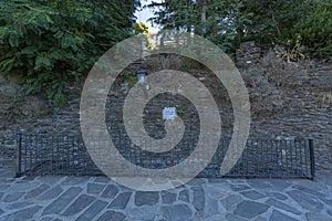 Stone wall with trees photo