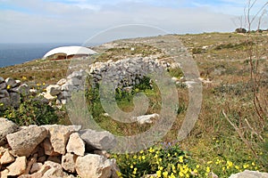 stone wall and wild vegetation in the countryside (malta)