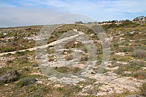 stone wall and wild vegetation in the countryside (malta)