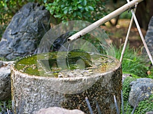 Stone washbasin Tsukubai and bamboo pipe Kakei at a Japanese garden.