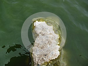 Stone In Water
