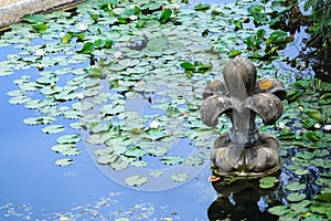 Stone and water lily in pond of Villa Doria Pamphili at the Via Aurelia Antica