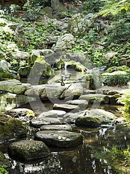 Stone and water in Riykugien Garden, Tokyo