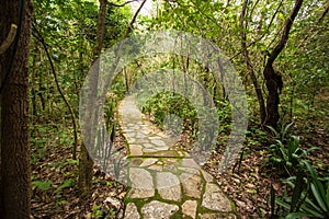 Stone way. Jardim do Eden, chapada dos veadeiros