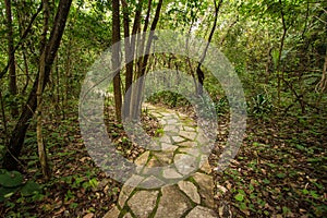 Stone way. Jardim do Eden, chapada dos veadeiros