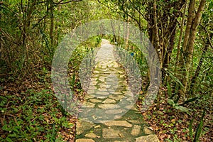 Stone way. Jardim do Eden, chapada dos veadeiros