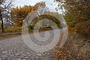 Stone way leading to village