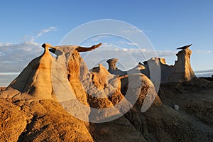 Stone Wings, Bisti Wilderness