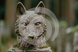 stone wolf statue in forest