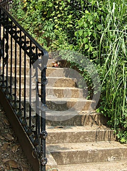 Stone and Wrought Iron Staircase