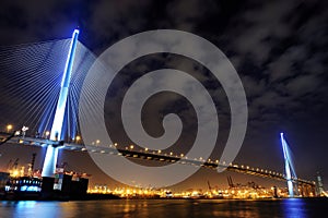 Stonecutters Bridge night view