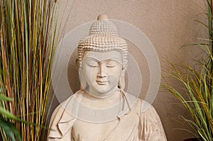 Stoned buddha in gardening store