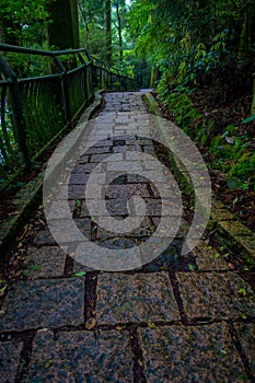 A stoned entrance of Hakone shrine, in the forest in Japan