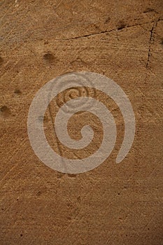 Stonemason marks in a Cistercian monastery. Similar to Dreamstime logo.
