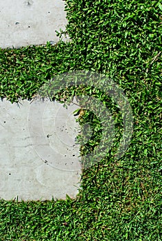 Stonepath with grass