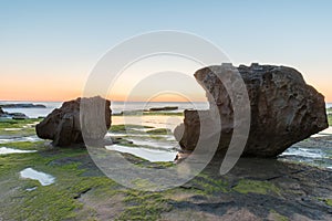 Stones with Algae before sunrise