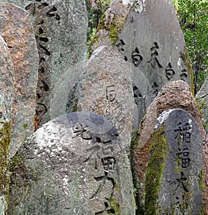 Stones with ancient hieroglyphs. Inscribed historical rocks overgrown with moss